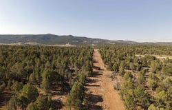 CR 310, Ignacio, CO 81137
