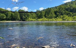 Coyote Ln, Equinunk, PA 18417