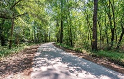 Hyde Park Road, Ravenel, SC 29470