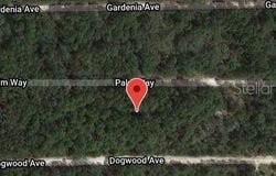 117 PALM Way, GEORGETOWN, FL 32139