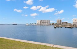 433 S PAULA Drive, DUNEDIN, FL 34698