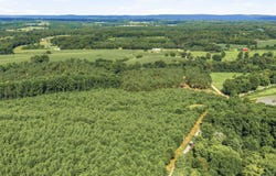 906a Co Rd 318, Dawson, AL 35963