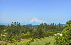 4185 SW LAFOLLETT Rd, Cornelius, OR 97113