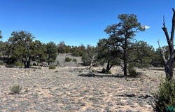 Kemo Sabe Pass, Quemado, NM 87829