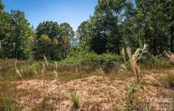 21 W Keesler Street, Black Mountain, NC 28711