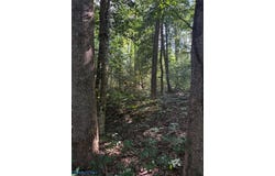 1.27ac Ware Street, Gloucester, VA 23061