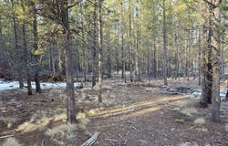 16852 ELSINORE RD, Bend, OR 97707