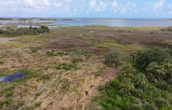 E 3rd Ave, Horseshoe Beach, FL 32648