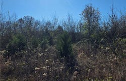 Tract 3 E1290 RD, Mccurtain, OK 74944