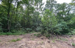 Staats Road, Howard, OH 43028