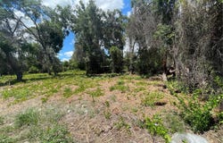 COUNTY ROAD 42, UMATILLA, FL 32784