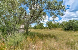 Hickory Grove Rd., Mason, TX 76856