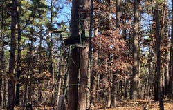 924 Quail Way, Dolph, AR 72531