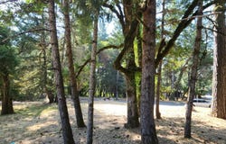 25331 Sherwood Road, Willits, CA 95490