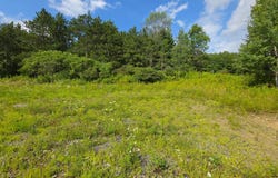 0WP Route 221, Lapeer, NY 13803