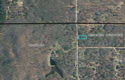 5954 Neumann Road, Lewiston, MI 49756