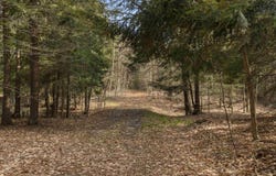 00 BENZIE HIGHWAY, BENZONIA, MI 49616