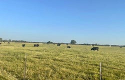CR 358, Gause, TX 77857