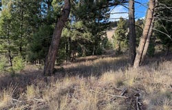 Lot 5 Scranton Lode, Philipsburg, MT 59858
