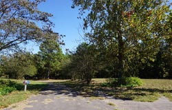 cr4301 Plainview Dr, Naples, TX 75568