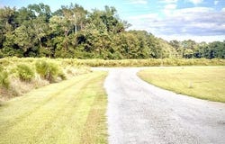 Misty Glen Road, Saint George, SC 29477