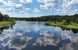 N Bumblebee Rd, Glenwood, AR 71943