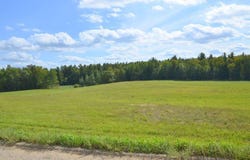 Juneberry Drive, Park Rapids, MN 56470