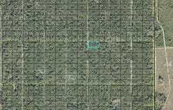 177 DILLION Avenue, HASTINGS, FL 32145