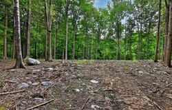Cedar Lane lot: #4, Mendon, VT 05701
