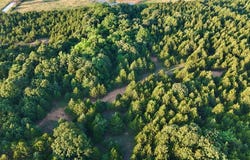 6 N 3490 Road, Earlsboro, OK 74840