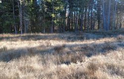 188 PISQUALLY Ln, Azalea, OR 97410