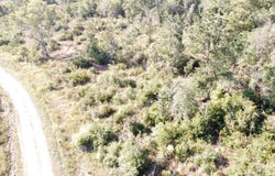 705 CR 825, Buna, TX 77612