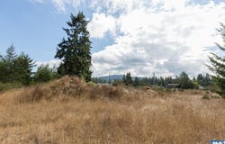 Secor Road lot: 4, Sequim, WA 98382-0000