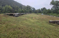 PLANE TREE LANE lot: 12, Mountain Home, AR 72653