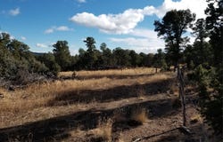 Pecos, Pecos, NM 87552