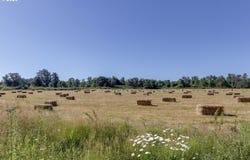 Delight Valley, CottageGrove, OR 97424