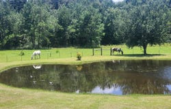 88 Compton Ranch Road, Poplarville, MS 39470