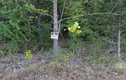 Lone Star Trail, Lead Hill, AR 72644