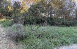 Gladden View Avenue, Fairmont, WV 26554