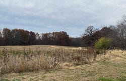 N TARTERS FERRY Lane, Smithfield, IL 61477