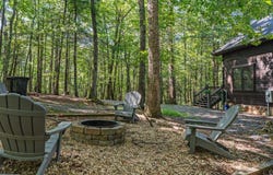 63 Bushy Head Road, Cherry Log, GA 30522