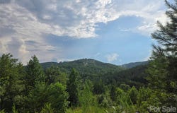 Pinegrove Drive, Bostic, NC 28018