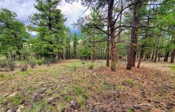 253 Aspen Circle, South Fork, CO 81154