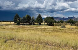 619 S 800 E, New Harmony, UT 84757