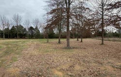 27R River Birch Drive, Guy, AR 72061