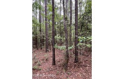 Hwy 49, Brooklyn, MS 39425