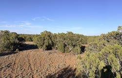 9070 Pinto Trail, Show Low, AZ 85901