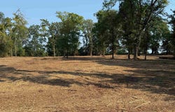 Hwy 67, Redwater, TX 75573