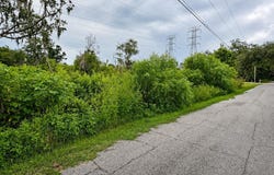 274 TOMS Road, DEBARY, FL 32713