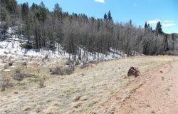 388 Grey Eagle Drive, Cripple Creek, CO 80813